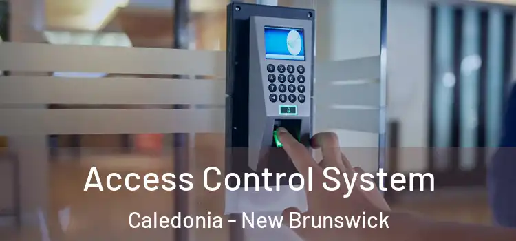 Access Control System Caledonia - New Brunswick