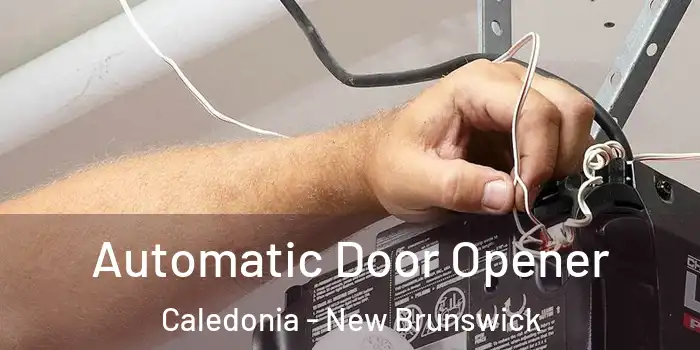 Automatic Door Opener Caledonia - New Brunswick