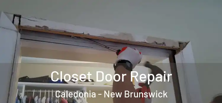 Closet Door Repair Caledonia - New Brunswick