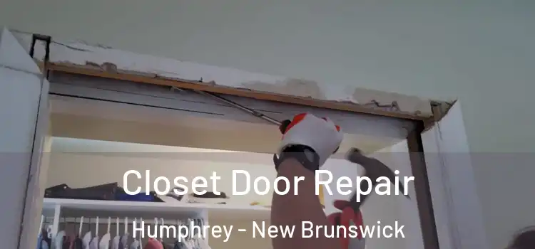 Closet Door Repair Humphrey - New Brunswick