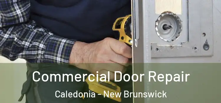 Commercial Door Repair Caledonia - New Brunswick
