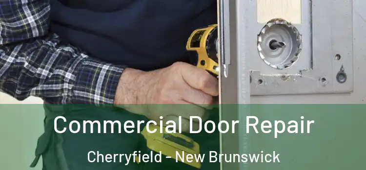 Commercial Door Repair Cherryfield - New Brunswick