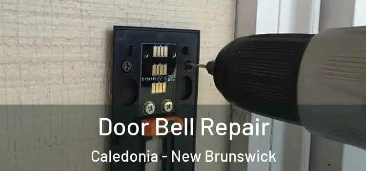 Door Bell Repair Caledonia - New Brunswick
