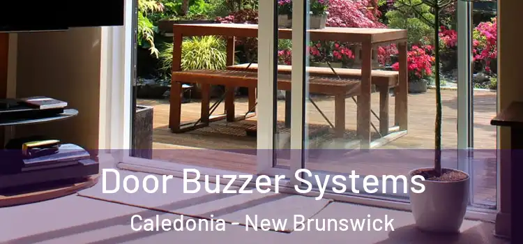 Door Buzzer Systems Caledonia - New Brunswick