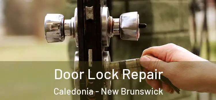 Door Lock Repair Caledonia - New Brunswick