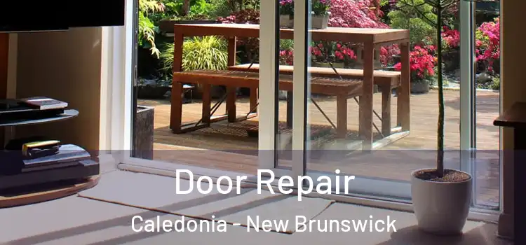 Door Repair Caledonia - New Brunswick