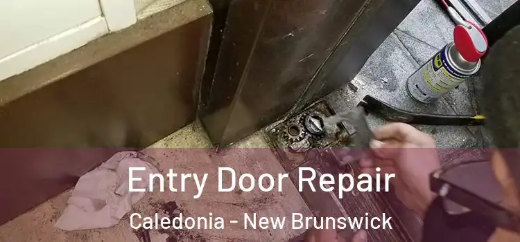 Entry Door Repair Caledonia - New Brunswick