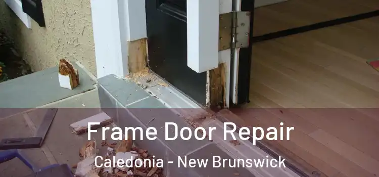Frame Door Repair Caledonia - New Brunswick