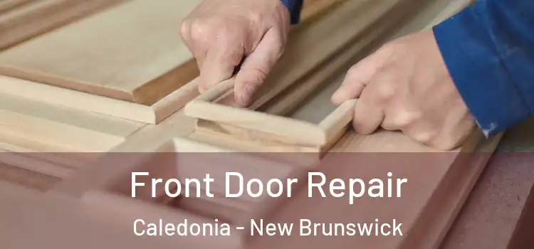 Front Door Repair Caledonia - New Brunswick