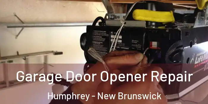 Garage Door Opener Repair Humphrey - New Brunswick