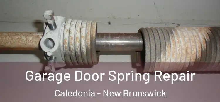 Garage Door Spring Repair Caledonia - New Brunswick