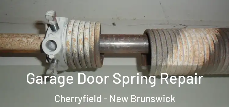 Garage Door Spring Repair Cherryfield - New Brunswick