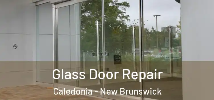 Glass Door Repair Caledonia - New Brunswick
