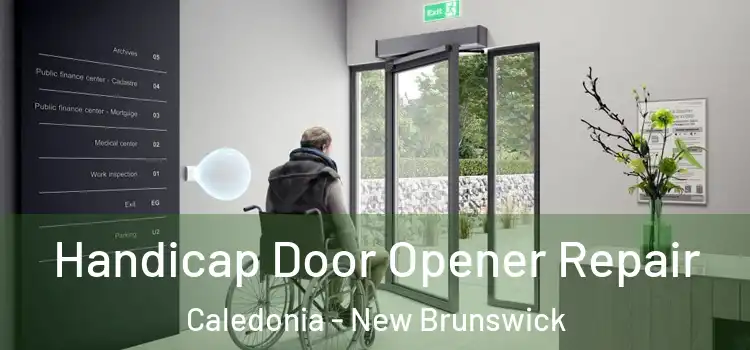 Handicap Door Opener Repair Caledonia - New Brunswick