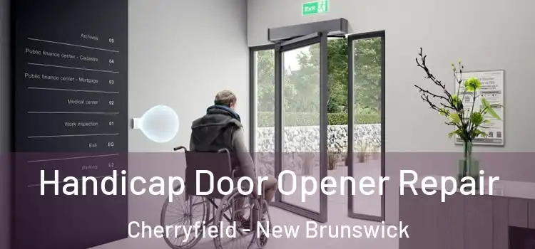 Handicap Door Opener Repair Cherryfield - New Brunswick