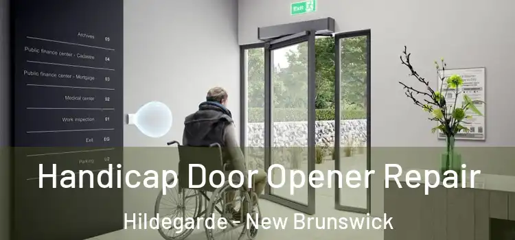 Handicap Door Opener Repair Hildegarde - New Brunswick