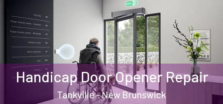 Handicap Door Opener Repair Tankville - New Brunswick