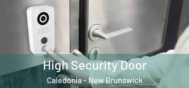 High Security Door Caledonia - New Brunswick
