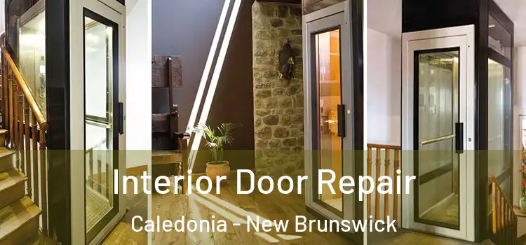 Interior Door Repair Caledonia - New Brunswick
