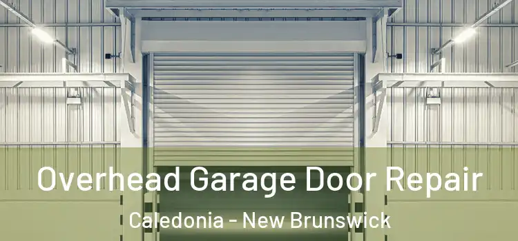 Overhead Garage Door Repair Caledonia - New Brunswick