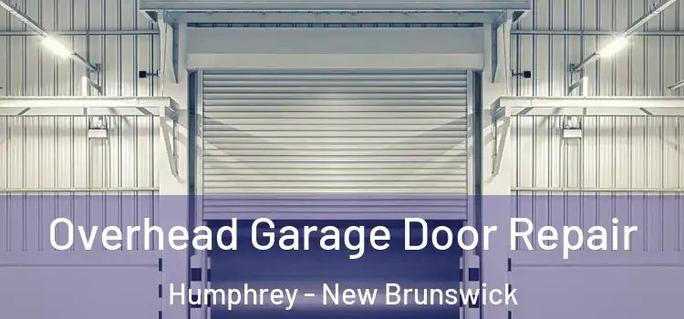 Overhead Garage Door Repair Humphrey - New Brunswick