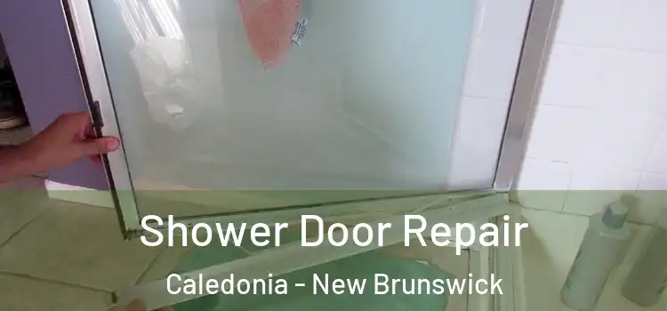 Shower Door Repair Caledonia - New Brunswick