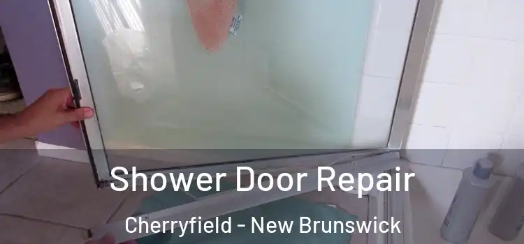 Shower Door Repair Cherryfield - New Brunswick