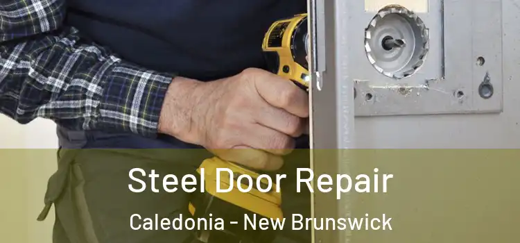 Steel Door Repair Caledonia - New Brunswick