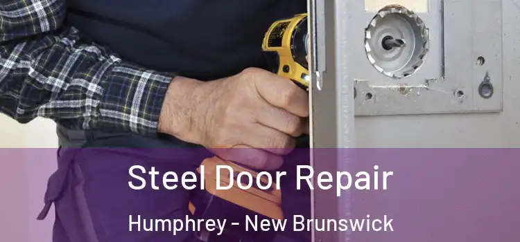 Steel Door Repair Humphrey - New Brunswick