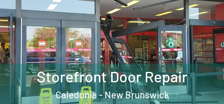 Storefront Door Repair Caledonia - New Brunswick
