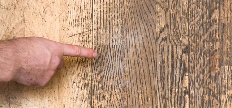 Wood Door Scratch Repair in Moncton